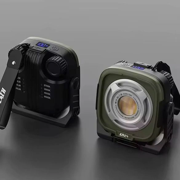 FL1 - Image 3